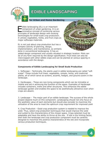 Basic Urban Gardening | PDF