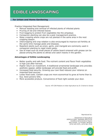 Basic Urban Gardening | PDF