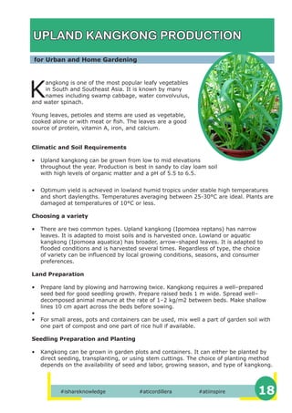 #ishareknowledge #aticordillera #atiinspire 18
for Urban and Home Gardening
UPLAND KANGKONG PRODUCTION
K
angkong is one of the most popular leafy vegetables
in South and Southeast Asia. It is known by many
names including swamp cabbage, water convolvulus,
and water spinach.
Young leaves, petioles and stems are used as vegetable,
cooked alone or with meat or fish. The leaves are a good
source of protein, vitamin A, iron, and calcium.
Climatic and Soil Requirements
• Upland kangkong can be grown from low to mid elevations
throughout the year. Production is best in sandy to clay loam soil
with high levels of organic matter and a pH of 5.5 to 6.5.
• Optimum yield is achieved in lowland humid tropics under stable high temperatures
and short daylengths. Temperatures averaging between 25-30°C are ideal. Plants are
damaged at temperatures of 10°C or less.
Choosing a variety
• There are two common types. Upland kangkong (Ipomoea reptans) has narrow
leaves. It is adapted to moist soils and is harvested once. Lowland or aquatic
kangkong (Ipomoea aquatica) has broader, arrow–shaped leaves. It is adapted to
flooded conditions and is harvested several times. Regardless of type, the choice
of variety can be influenced by local growing conditions, seasons, and consumer
preferences.
Land Preparation
• Prepare land by plowing and harrowing twice. Kangkong requires a well–prepared
seed bed for good seedling growth. Prepare raised beds 1 m wide. Spread well–
decomposed animal manure at the rate of 1–2 kg/m2 between beds. Make shallow
lines 10 cm apart across the beds before sowing.
•
• For small areas, pots and containers can be used, mix well a part of garden soil with
one part of compost and one part of rice hull if available.
Seedling Preparation and Planting
• Kangkong can be grown in garden plots and containers. It can either be planted by
direct seeding, transplanting, or using stem cuttings. The choice of planting method
depends on the availability of seed and labor, growing season, and type of kangkong.
 