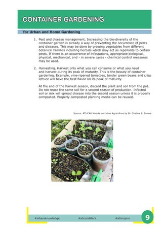 #ishareknowledge		 #aticordillera		 #atiinspire 9
CONTAINER GARDENING
for Urban and Home Gardening
1. Pest and disease management. Increasing the bio-diversity of the
container garden is already a way of preventing the occurrence of pests
and diseases. This may be done by growing vegetables from different
botanical families including herbals which may act as repellants to certain
pests. If there is an occurrence of infestations, appropriate biological,
physical, mechanical, and - in severe cases - chemical control measures
may be used.
2. Harvesting. Harvest only what you can consume or what you need
and harvest during its peak of maturity. This is the beauty of container
gardening. Example, vine-ripened tomatoes, tender green beans and crisp
lettuce will have the best flavor on its peak of maturity. 			
												
At the end of the harvest season, discard the plant and soil from the pot.
Do not reuse the same soil for a second season of production. Infected
soil or mix will spread disease into the second season unless it is properly
composted. Properly composted planting media can be reused.
Source: ATI-CAR Module on Urban Agriculture by Dr. Cristine B. Esnara
 