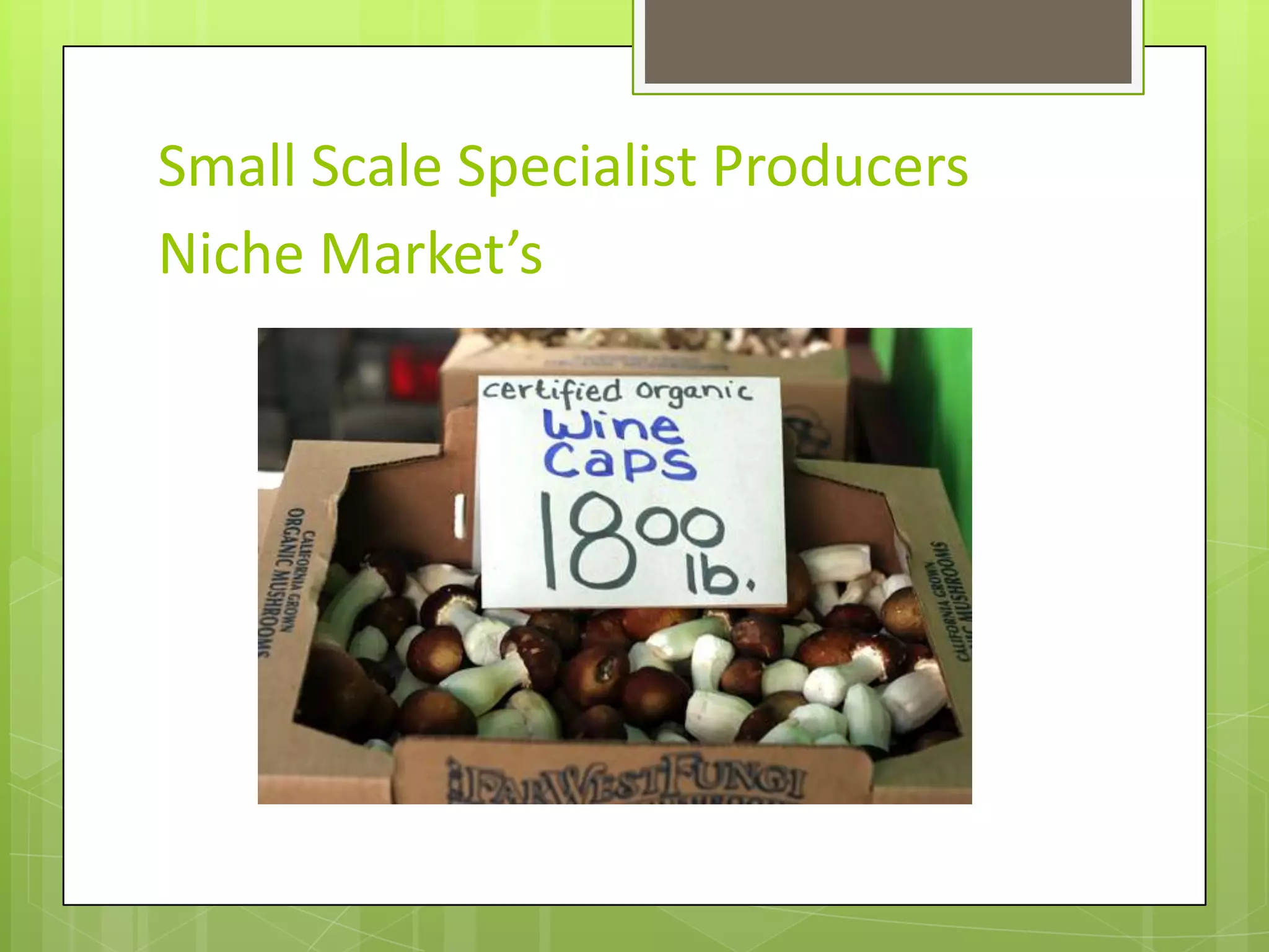Small Scale Specialist ProducersNiche Market’s