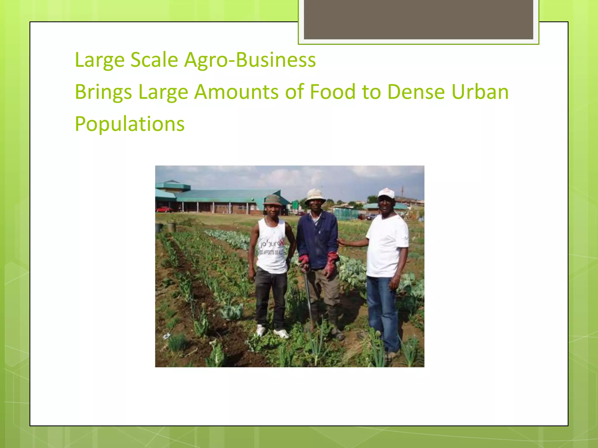 Large Scale Agro-BusinessBrings Large Amounts of Food to Dense Urban Populations