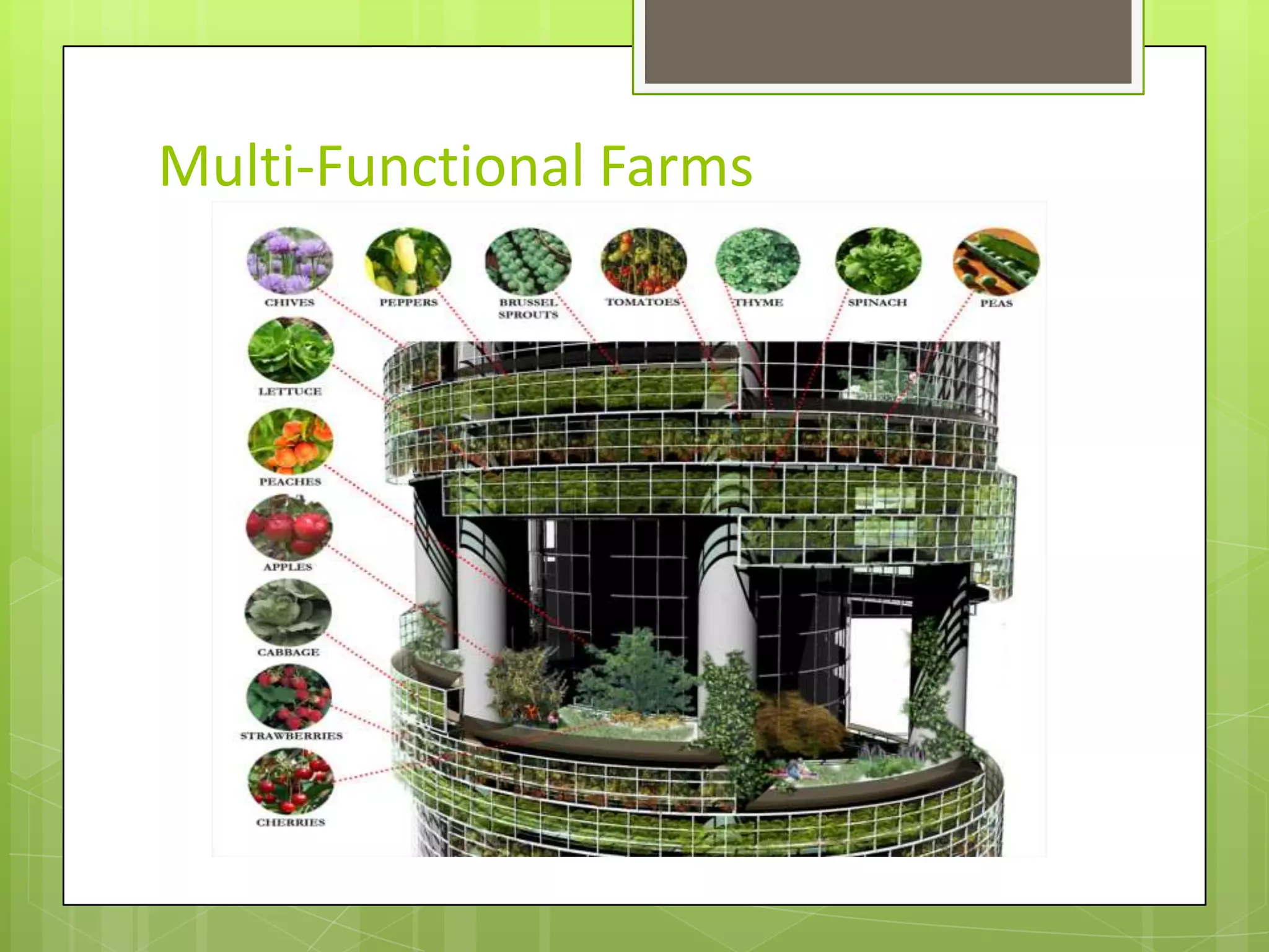 Multi-Functional Farms