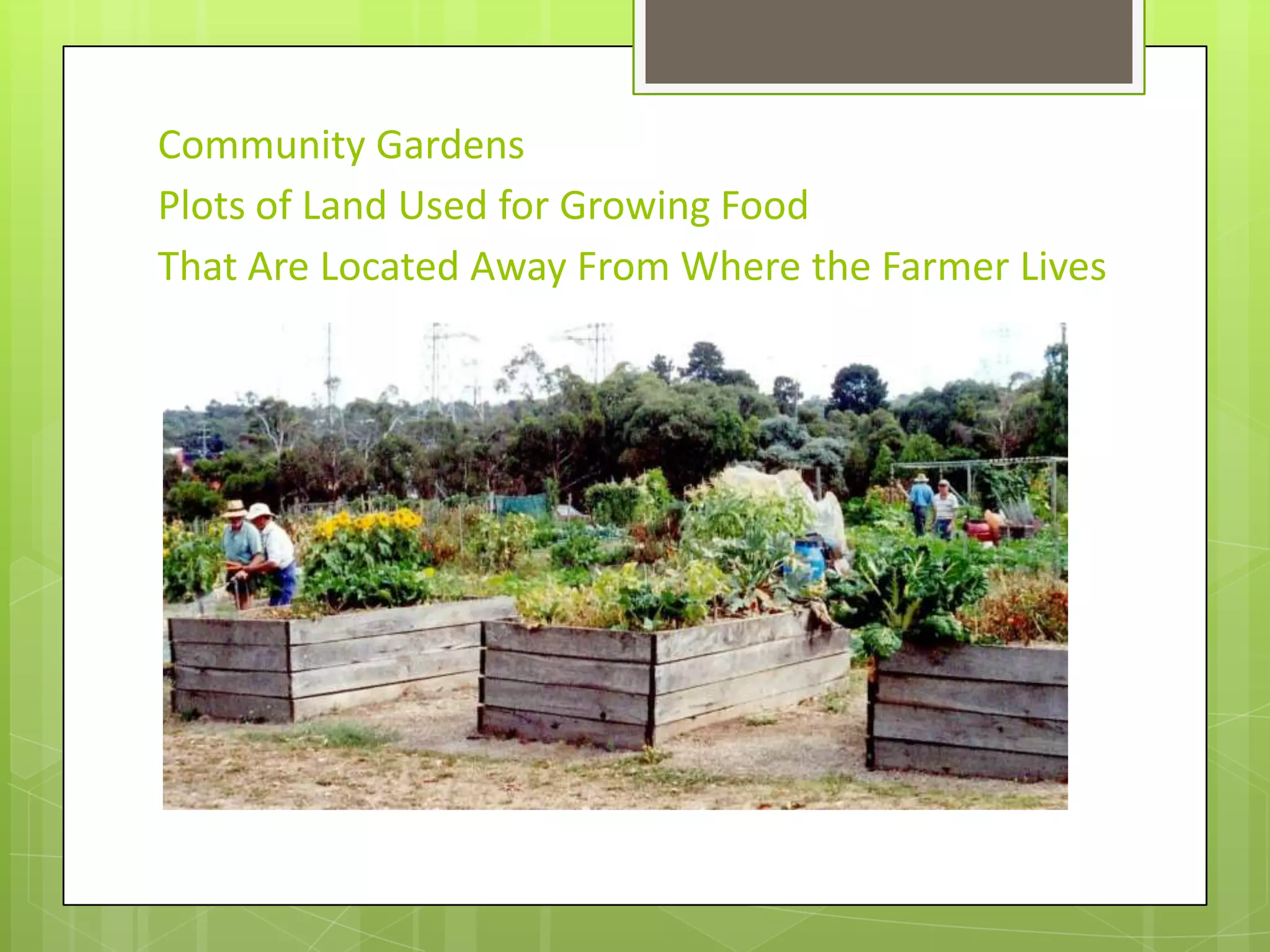 Community GardensPlots of Land Used for Growing FoodThat Are Located Away From Where the Farmer Lives