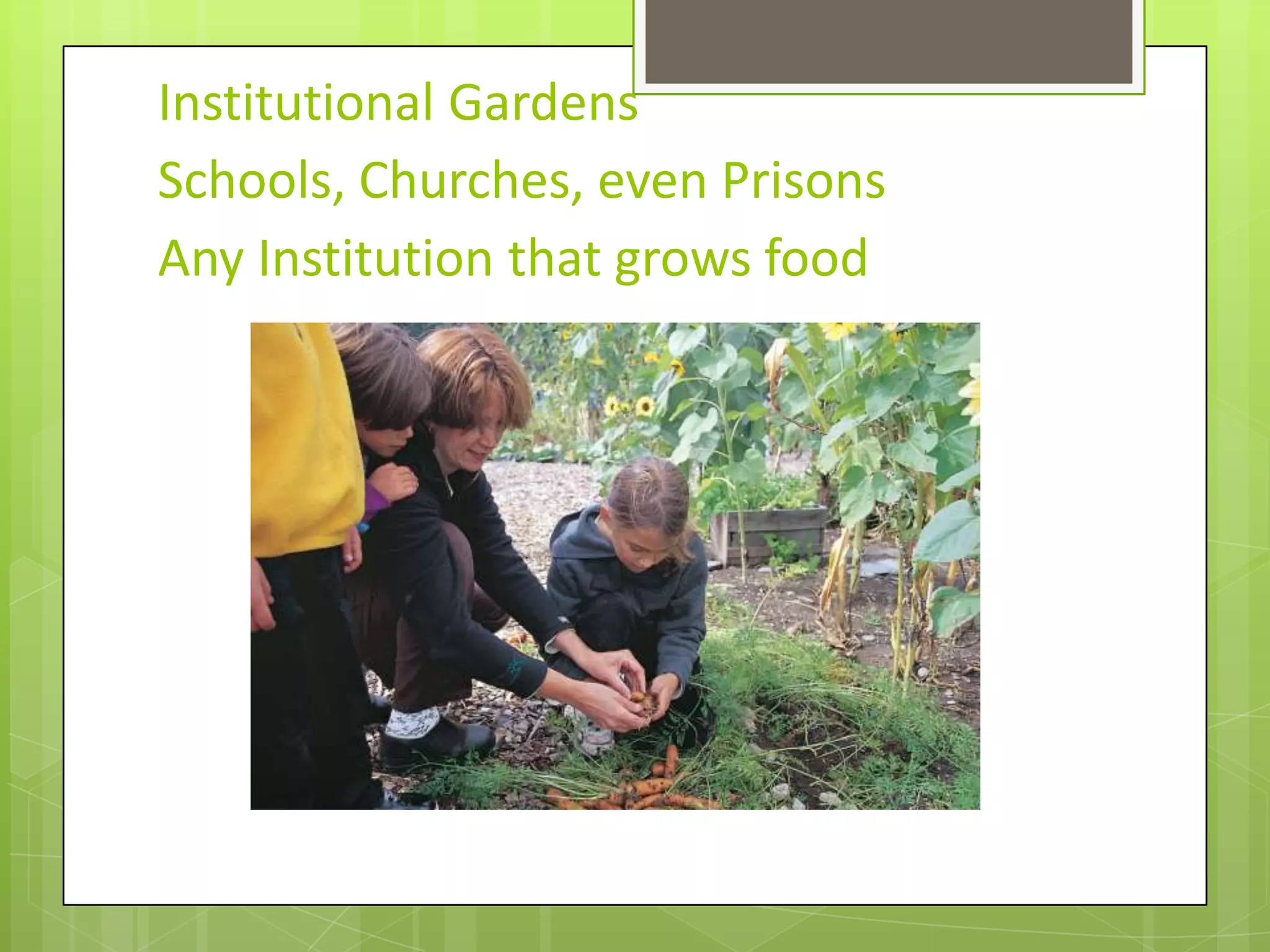 Institutional GardensSchools, Churches, even PrisonsAny Institution that grows food