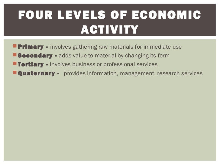 primary economic activity examples