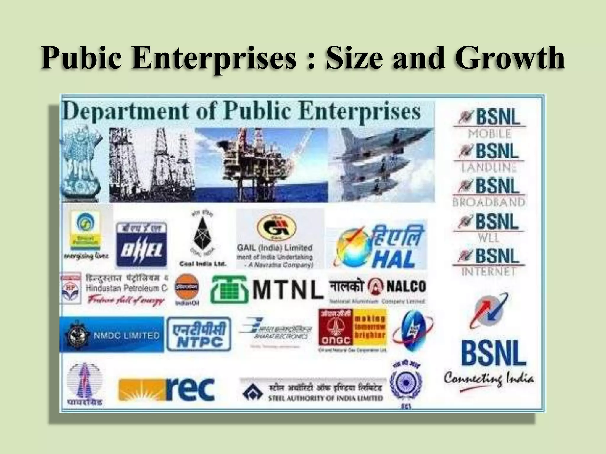 Pubic Enterprises : Size and Growth

 