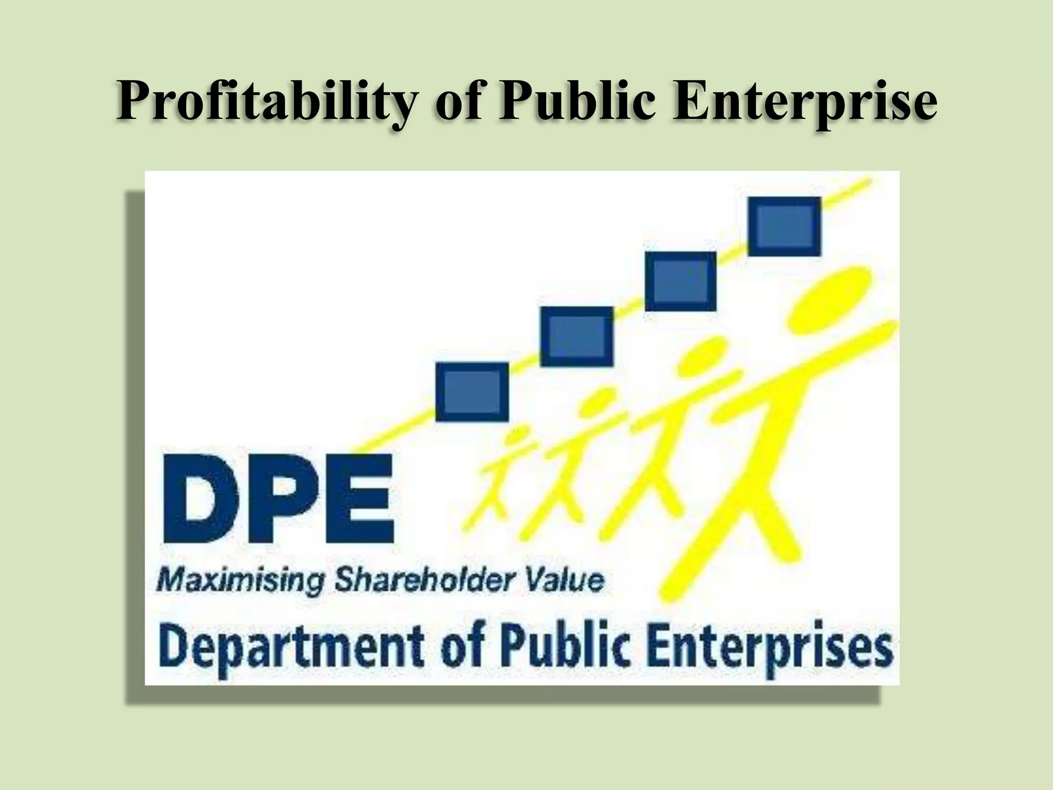Profitability of Public Enterprise

 