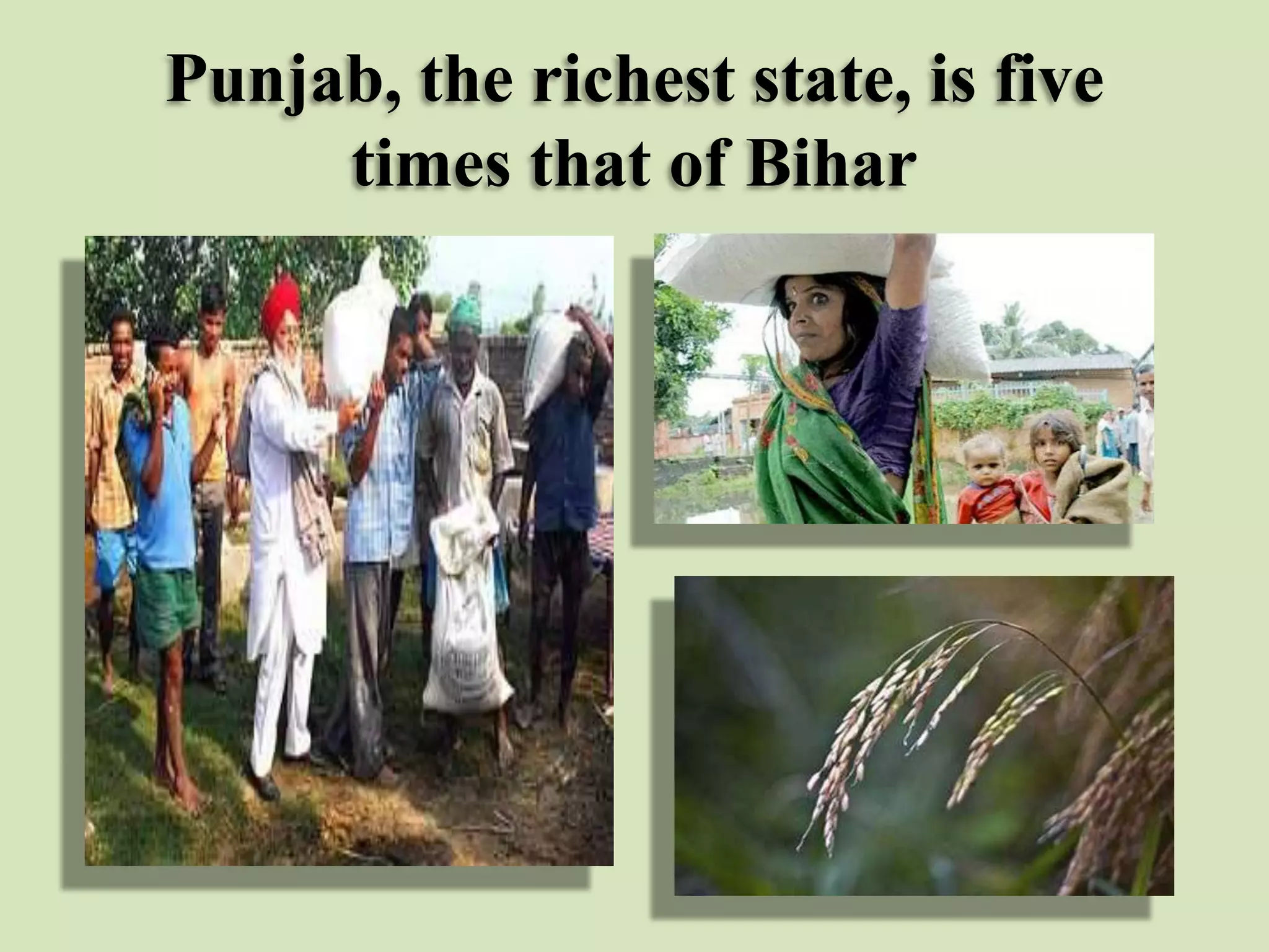 Punjab, the richest state, is five
times that of Bihar

 