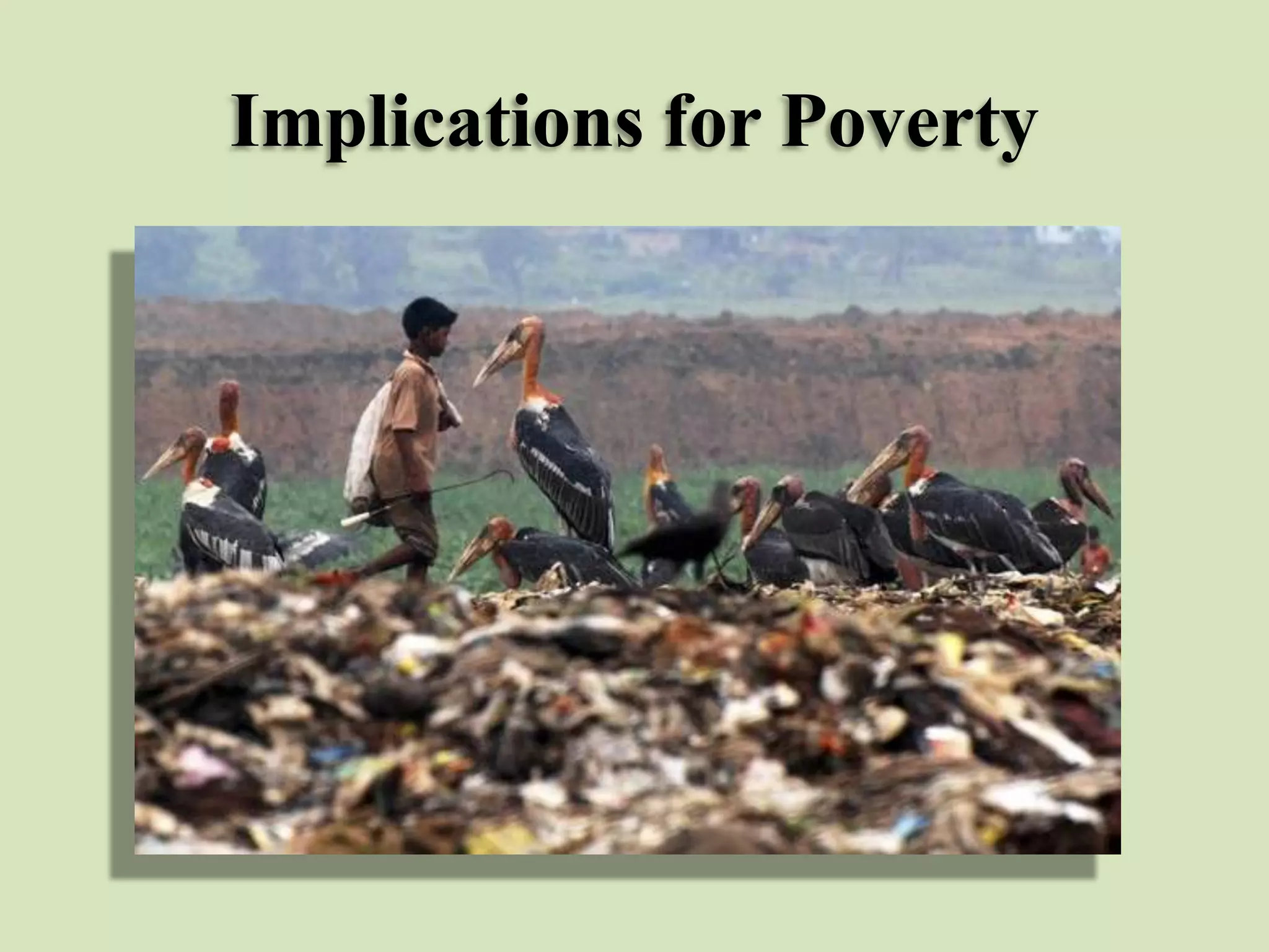 Implications for Poverty

 