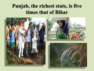 Punjab, the richest state, is five
times that of Bihar

 