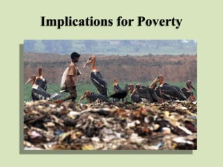Implications for Poverty

 