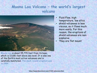 Muana Loa Volcano – the world’s largest
volcano
Mauna Loa is about 55,770 feet from its base,
which is 13,681 feet above sea level. It is also one
of the Earth’s most active volcanoes and is
carefully monitored. The most recent eruption was
in 1984.
• Fluid Flow, high
temperature, low silica
• shield volcanoes is less
viscous, so it flows much
more easily. For this
reason, the eruptions of
shield volcanoes are non-
explosive
• They are flat mount
 