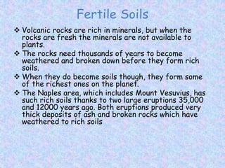 Fertile Soils
 Volcanic rocks are rich in minerals, but when the
rocks are fresh the minerals are not available to
plants.
 The rocks need thousands of years to become
weathered and broken down before they form rich
soils.
 When they do become soils though, they form some
of the richest ones on the planet.
 The Naples area, which includes Mount Vesuvius, has
such rich soils thanks to two large eruptions 35,000
and 12000 years ago. Both eruptions produced very
thick deposits of ash and broken rocks which have
weathered to rich soils
 