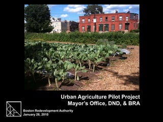  Urban Agriculture Pilot Project   Mayor’s Office, DND, & BRA   Boston Redevelopment Authority January 26, 2010  