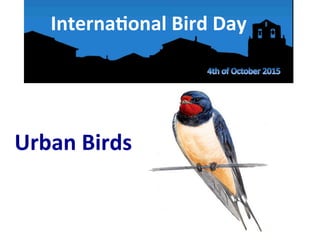 Interna'onal	
  Bird	
  Day	
  
Urban	
  Birds	
  
 