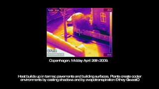 Heat builds up in tarmac pavements and building surfaces. Plants create cooler environments by casting shadows and by evapotranspiration – they “sweat”. Copenhagen. Midday April 26th 2009.  