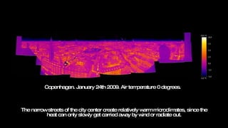 The narrow streets of the city center create relatively warm microclimates, since the heat can only slowly get carried away by wind or radiate out. Copenhagen. January 24th 2009. Air temperature 0 degrees.  