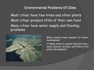 Urban Current Issues and Approaches | PDF