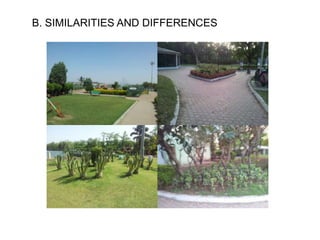 B. SIMILARITIES AND DIFFERENCES
 