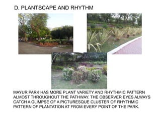 D. PLANTSCAPE AND RHYTHM
MAYUR PARK HAS MORE PLANT VARIETY AND RHYTHMIC PATTERN
ALMOST THROUGHOUT THE PATHWAY. THE OBSERVER EYES ALWAYS
CATCH A GLIMPSE OF A PICTURESQUE CLUSTER OF RHYTHMIC
PATTERN OF PLANTATION AT FROM EVERY POINT OF THE PARK.
 