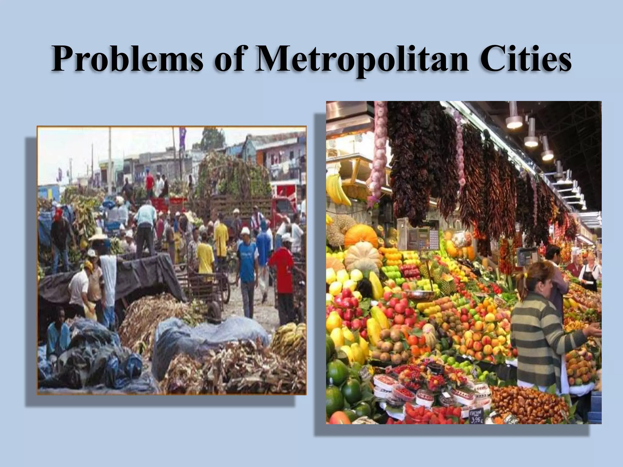 Problems of Metropolitan Cities

 