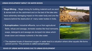 URBAN DEVELOPMENT IMPACT ON WATER BODIES
Illegal Mining : Illegal mining for building material such as sand
& stones both on the catchment and on the bed of the lake also
have extremely damaging impact on the water body and one the
reasons behind the destruction of many water bodies in India.
ISSUES OF URBAN WATER BODIES DUE TO URBAN DEVELOPMENT
Eutrophication: Industrial effluents, run-oı from agricultural
fields, refuse and sewage, domestic wastes like food remnants,
soaps, detergents and sewage are dumped into lakes which
break down and release nutrients in the lake water.
The depleted levels of dissolved oxygen in water lead to a situation where other aquatic life-forms
cannot survive. This process is called eutrophication.
 