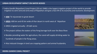 URBAN DEVELOPMENT IMPACT ON WATER BODIES
Indira Gandhi (Rajasthan) Canal Project (29 oct 1948) is the largest irrigation project of the world to provide
irrigation to semi-arid and arid areas of Rajasthan and give a face lift to its economy and economic development.
INDIRA GANDHI CANAL PROJECT
AIM: To rejuvenate to great desert
AREA: 600 km and 45 km wide of thar desert in north west of Rajasthan
AREA irrigated annually : 29 lakh acres
The project utilizes the waters of the Pong barrage built over the Beas River.
Besides providing water for agriculture, the canal will supply drinking water to
hundreds of people in far-flung areas.
Also induced changes in land use cropping pattern and animal husbandry
 