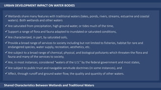URBAN DEVELOPMENT IMPACT ON WATER BODIES
Shared Characteristics Between Wetlands and Traditional Waters
Wetlands share many features with traditional waters (lakes, ponds, rivers, streams, estuarine and coastal
waters). Both wetlands and other waters
Are saturated from precipitation, high ground water, or tides much of the time,
Support a range of flora and fauna adapted to inundated or saturated conditions,
Are characterized, in part, by saturated soils,
Provide a broad range of services to society including but not limited to fisheries, habitat for rare and
endangered species, water supply, recreation, aesthetics, etc.
Are subject to a broad range of chemical, physical, and biological pollutants which threaten the flora and
fauna and many of the services to society,
Are, in most instances, considered “waters of the U.S.” by the federal government and most states,
Are subject to public trust and navigable servitude doctrines (in some instances), and
Affect, through runoff and ground water flow, the quality and quantity of other waters.
 