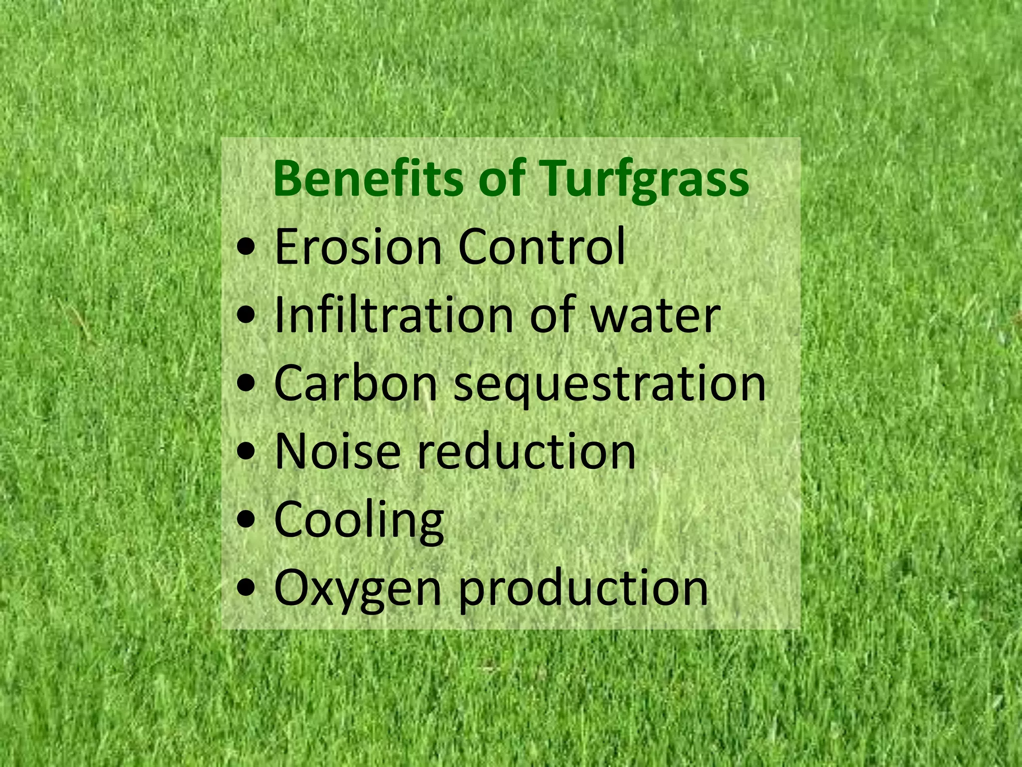 Benefits of Turfgrass
• Erosion Control
• Infiltration of water
• Carbon sequestration
• Noise reduction
• Cooling
• Oxygen production
 