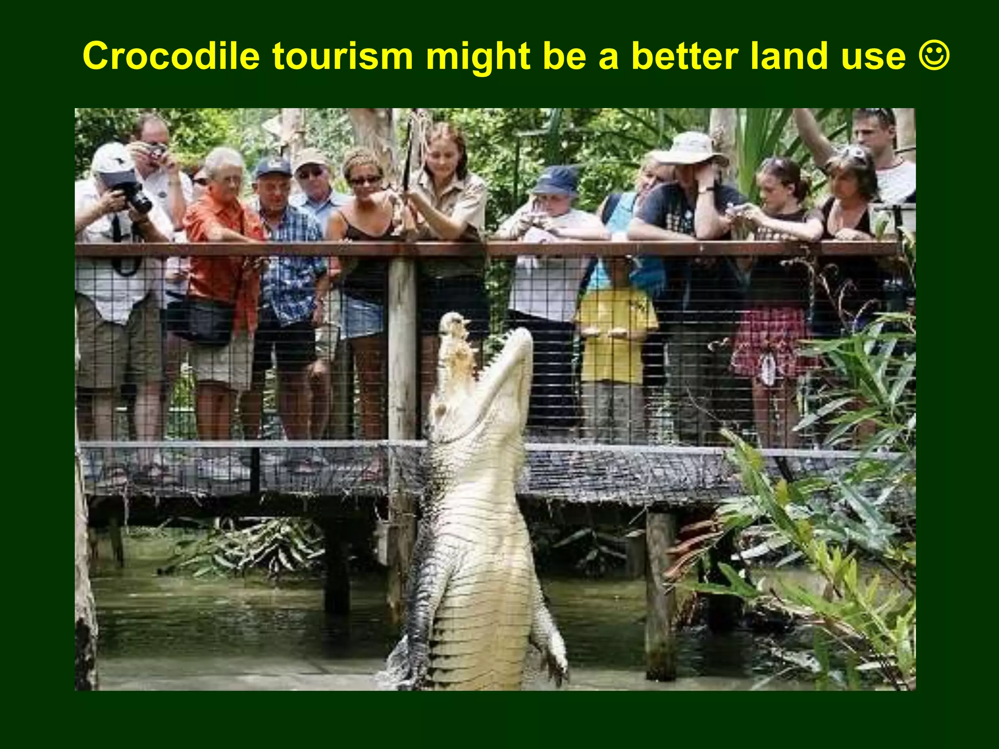 Crocodile tourism might be a better land use 
 
