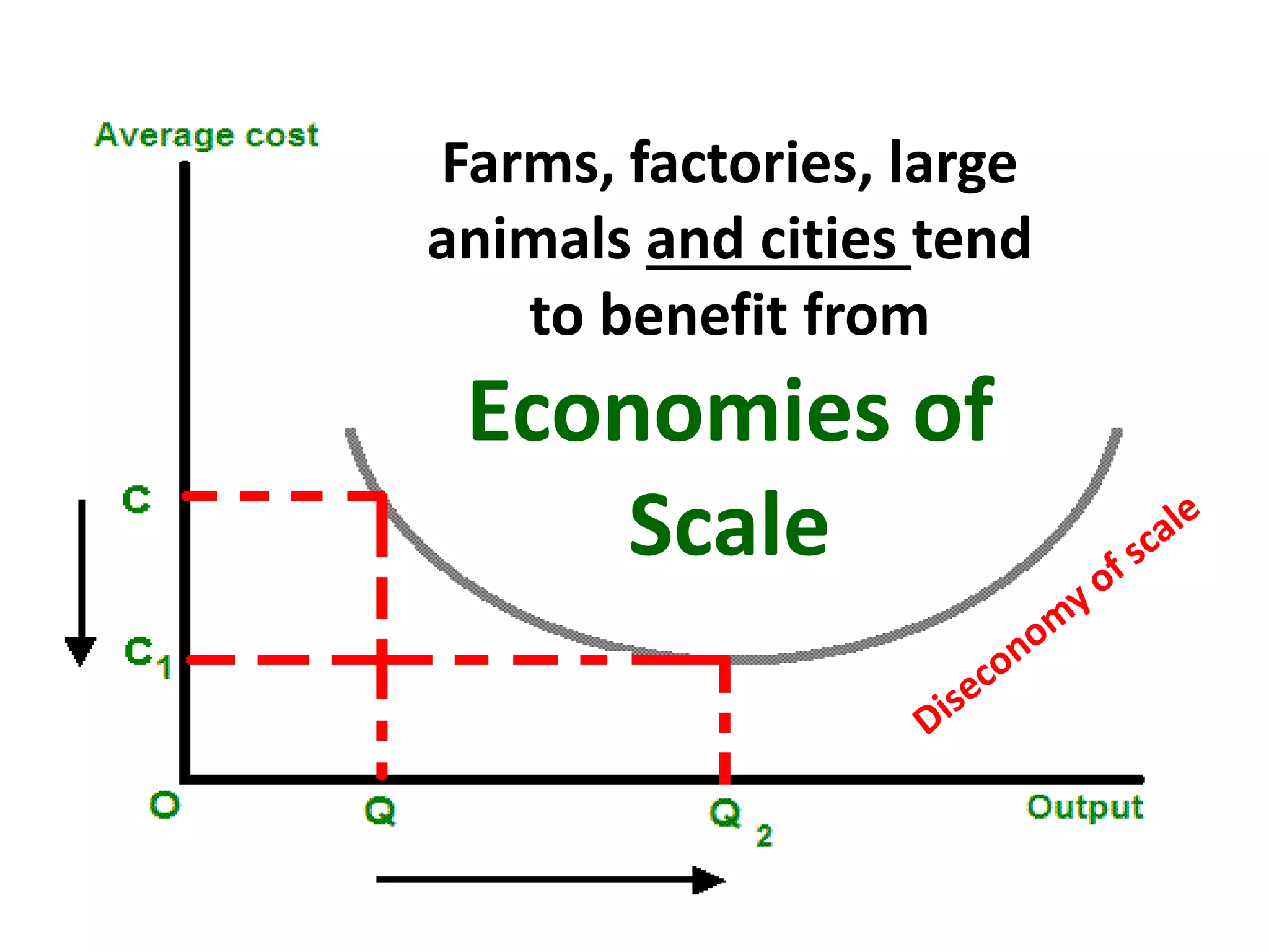 Farms, factories, large
animals and cities tend
to benefit from
Economies of
Scale
 