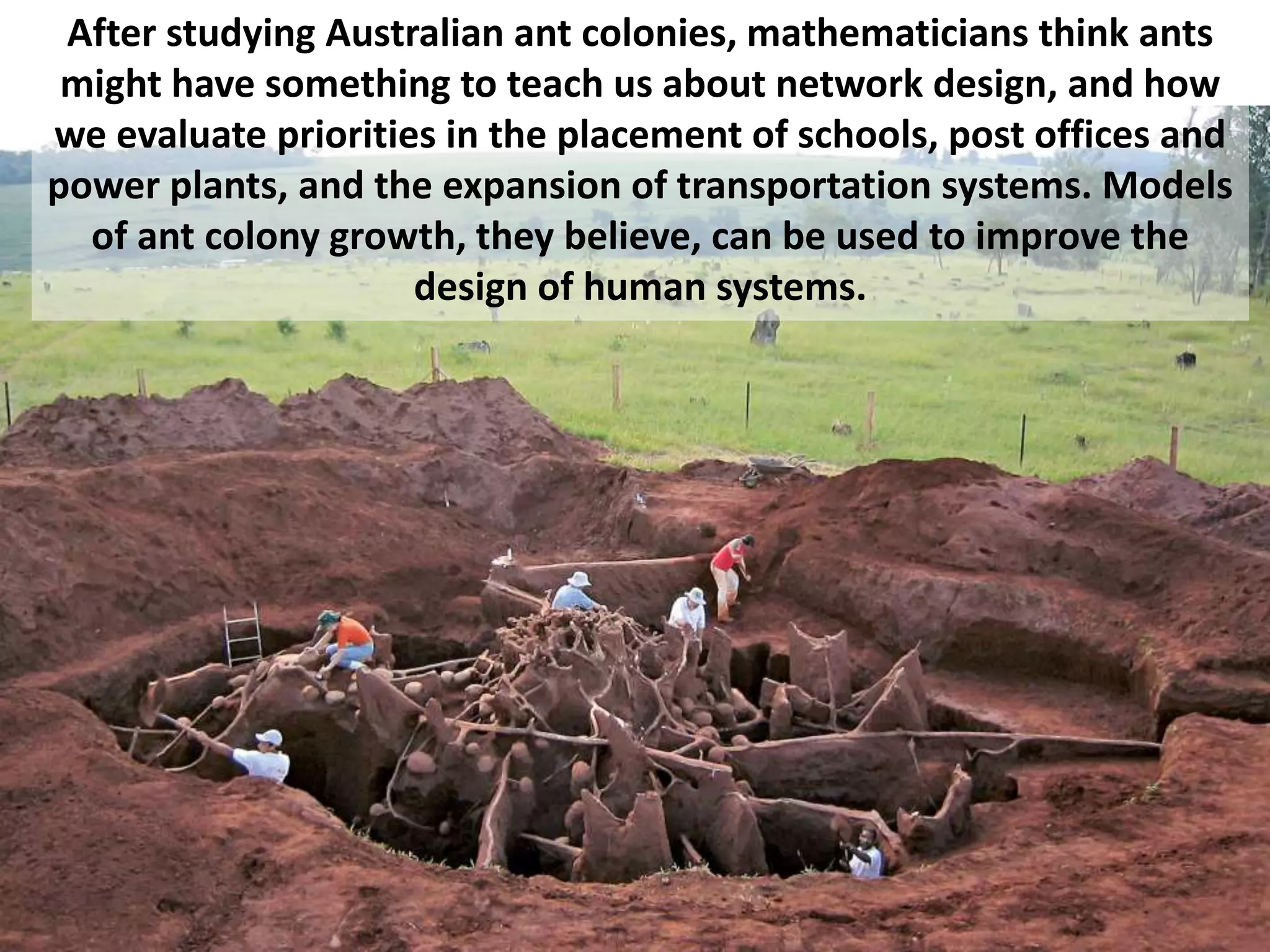 After studying Australian ant colonies, mathematicians think ants
might have something to teach us about network design, and how
we evaluate priorities in the placement of schools, post offices and
power plants, and the expansion of transportation systems. Models
of ant colony growth, they believe, can be used to improve the
design of human systems.
 
