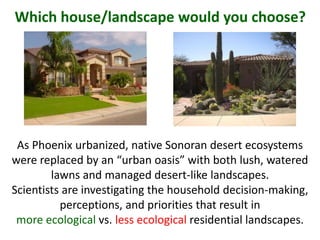 As Phoenix urbanized, native Sonoran desert ecosystems
were replaced by an “urban oasis” with both lush, watered
lawns and managed desert-like landscapes.
Scientists are investigating the household decision-making,
perceptions, and priorities that result in
more ecological vs. less ecological residential landscapes.
Which house/landscape would you choose?
 