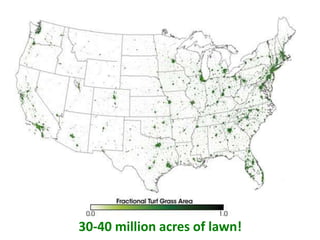 30-40 million acres of lawn!
 