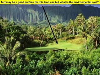 Turf may be a good surface for this land use but what is the environmental cost?
 