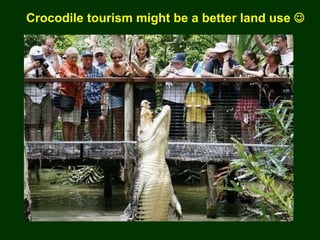 Crocodile tourism might be a better land use 
 