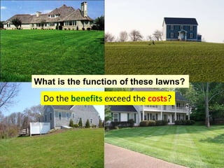 What is the function of these lawns?
Do the benefits exceed the costs?
 