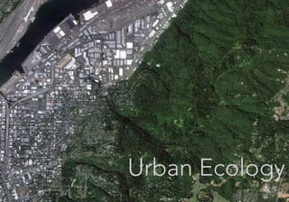Urban Ecology
 