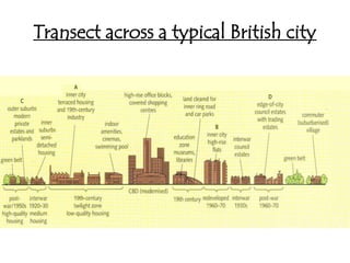 Transect across a typical British city
 