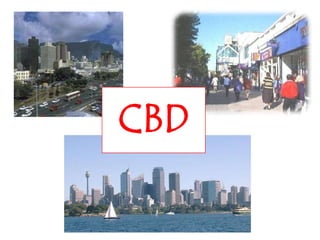 CBD
 