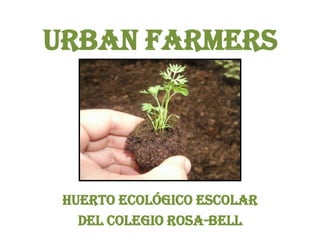 Urban Farmers




 Huerto Ecológico Escolar
   Del Colegio Rosa-Bell
 