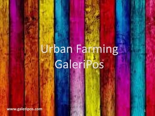 www.galeripos.com
Urban Farming
GaleriPos
1
 