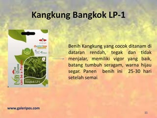 Kangkung Bangkok LP-1
Benih Kangkung yang cocok ditanam di
dataran rendah, tegak dan tidak
menjalar, memiliki vigor yang baik,
batang tumbuh seragam, warna hijau
segar. Panen benih ini 25-30 hari
setelah semai.
www.galeripos.com
11
 
