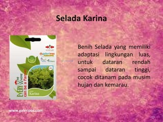 Selada Karina
Benih Selada yang memiliki
adaptasi lingkungan luas,
untuk dataran rendah
sampai dataran tinggi,
cocok ditanam pada musim
hujan dan kemarau.
www.galeripos.com
13
 