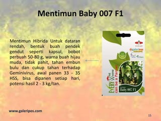 Mentimun Baby 007 F1
Mentimun Hibrida Untuk dataran
rendah, bentuk buah pendek
gendut seperti kapsul, bobot
perbuah 50-80 g, warna buah hijau
muda, tidak pahit, tahan embun
bulu dan cukup tahan terhadap
Geminivirus, awal panen 33 - 35
HSS, bisa dipanen setiap hari,
potensi hasil 2 - 3 kg/tan.
www.galeripos.com
15
 