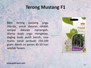 Terong Mustang F1
Bibit terong panjang ungu
Hibrida, untuk dataran rendah
sampai dataran menengah.
Warna buah ungu mengkilap,
daging buah putih bersih, rasa
manis, berat perbuah 150-200
gram. Benih ini panen 45-50 hari
setelah Tanam.
www.galeripos.com
18
 