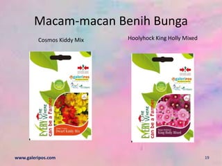 Macam-macan Benih Bunga
www.galeripos.com
Cosmos Kiddy Mix Hoolyhock King Holly Mixed
19
 