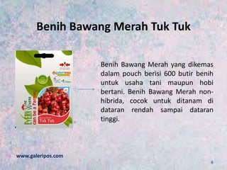 Benih Bawang Merah Tuk Tuk
Benih Bawang Merah yang dikemas
dalam pouch berisi 600 butir benih
untuk usaha tani maupun hobi
bertani. Benih Bawang Merah non-
hibrida, cocok untuk ditanam di
dataran rendah sampai dataran
tinggi.
www.galeripos.com
6
 