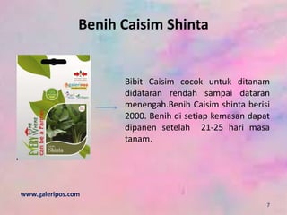 Benih Caisim Shinta
Bibit Caisim cocok untuk ditanam
didataran rendah sampai dataran
menengah.Benih Caisim shinta berisi
2000. Benih di setiap kemasan dapat
dipanen setelah 21-25 hari masa
tanam.
www.galeripos.com
7
 
